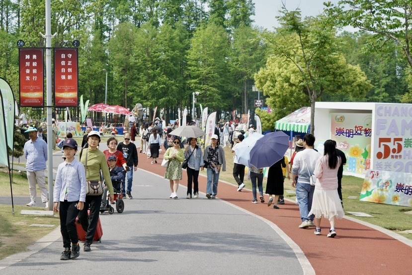 陆地冲浪、电音派对、咖啡学堂……大量长三角游客到访上海长兴岛郊野公园