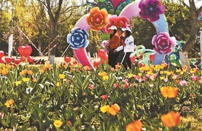 第四届北京国际花园节持续至11月15日