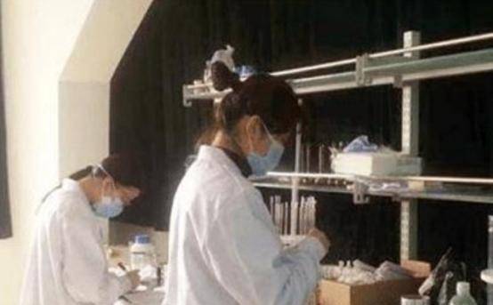21岁女孩孙妃妃，自称是孙悟空后人，到头来终是闹剧一场