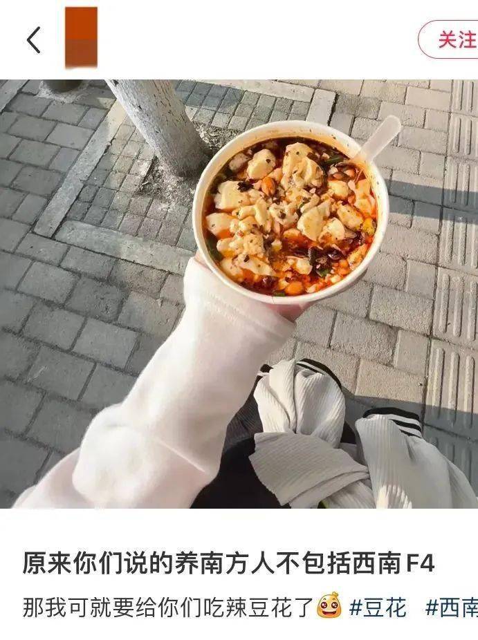 全国最神秘的组织：西南F4