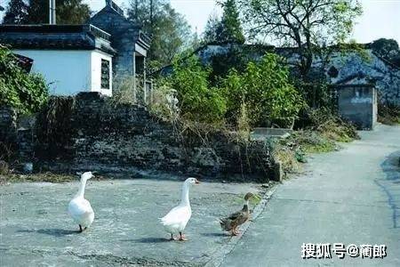 上海最纯正的10条老街