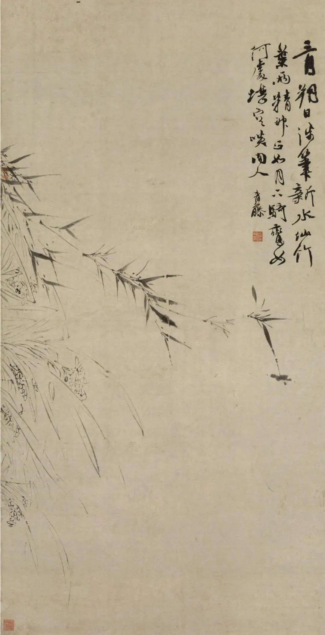 徐渭画竹，出神入化！