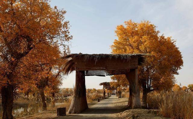 新疆有一神秘村寨，位于沙漠腹地，只居住20多户人家，却游客爆棚