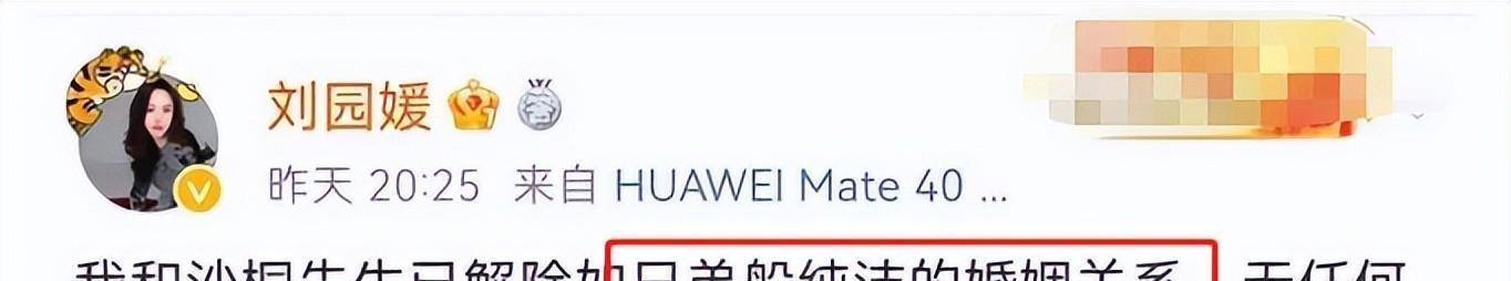主持人沙桐，一婚后被美女演员“逼婚”，今二婚也结束，各自安好
