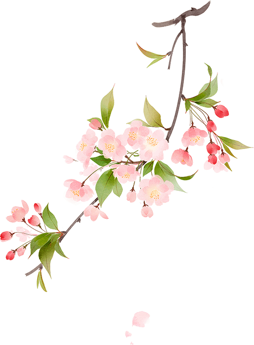 海棠花落，梅子半酸，正是人间好时节——春分《同上一堂课》