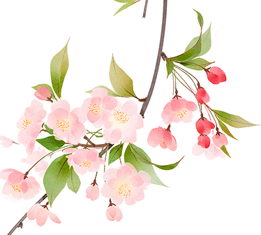 海棠花落，梅子半酸，正是人间好时节——春分《同上一堂课》