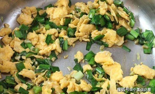 如何做出一道美味可口的韭菜鸡蛋打卤面？