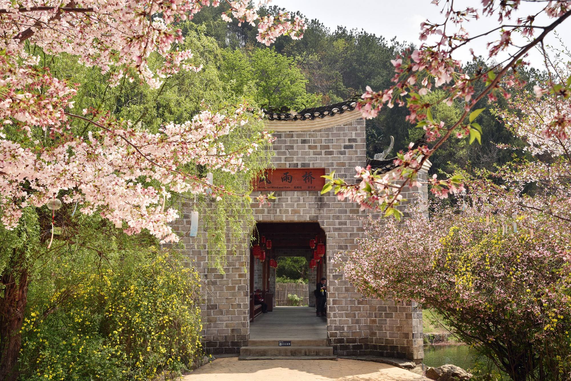 品乡土美食，住精品民宿，花海打卡拍美照，武汉春天这样玩就对了