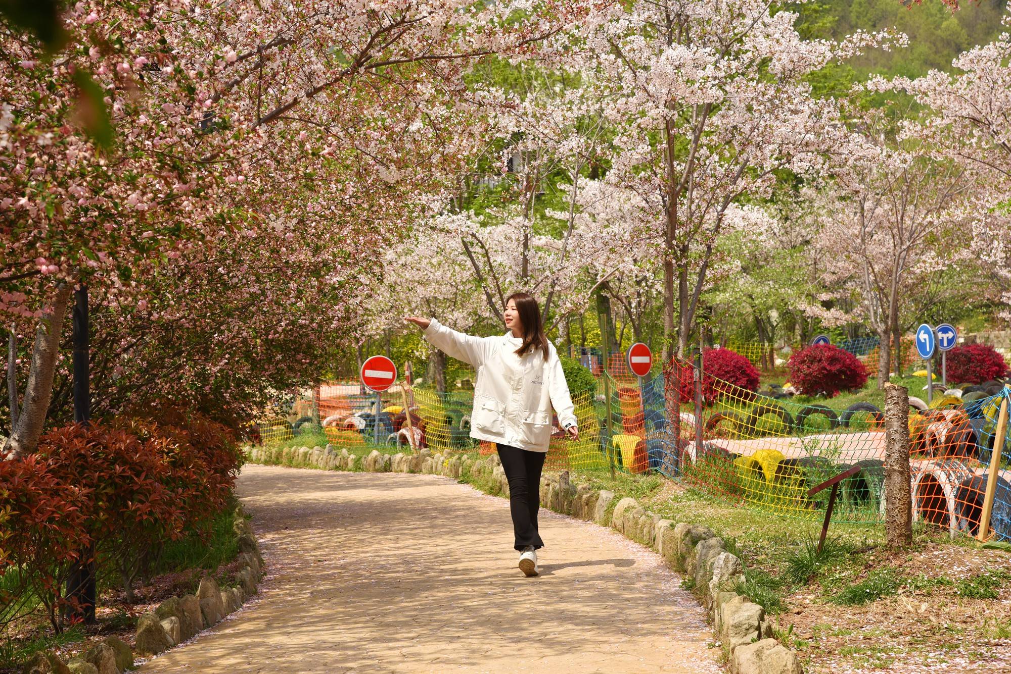 品乡土美食，住精品民宿，花海打卡拍美照，武汉春天这样玩就对了