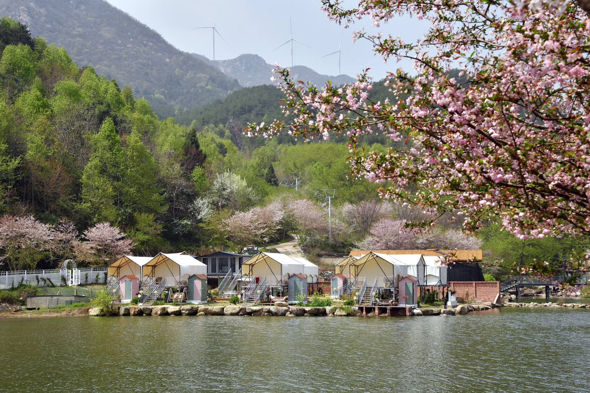 品乡土美食，住精品民宿，花海打卡拍美照，武汉春天这样玩就对了