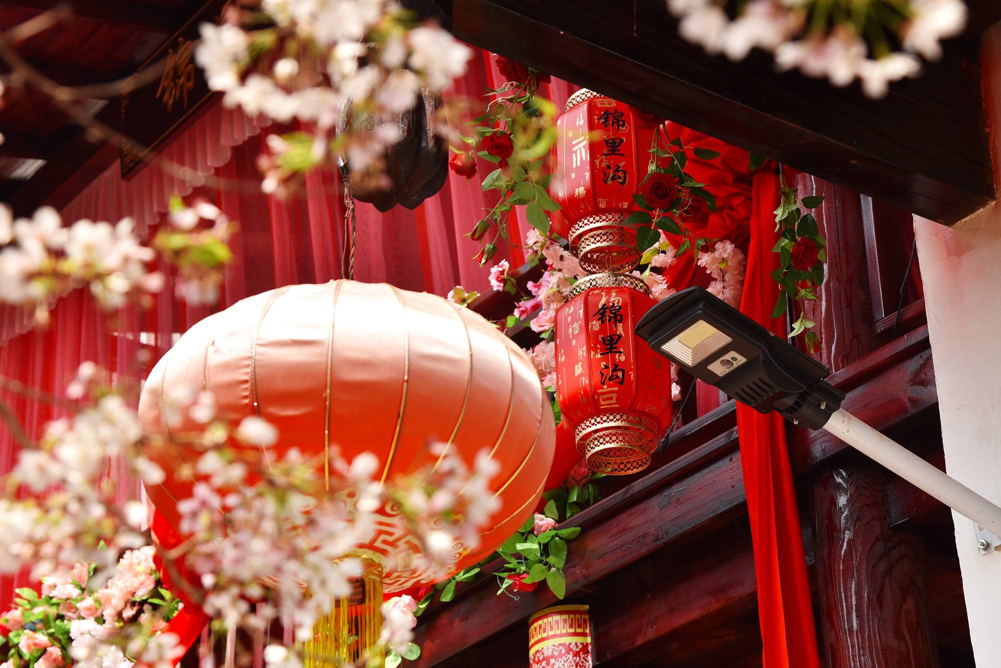 品乡土美食，住精品民宿，花海打卡拍美照，武汉春天这样玩就对了