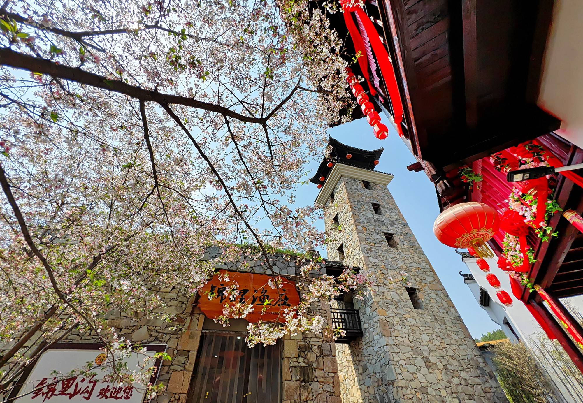品乡土美食，住精品民宿，花海打卡拍美照，武汉春天这样玩就对了