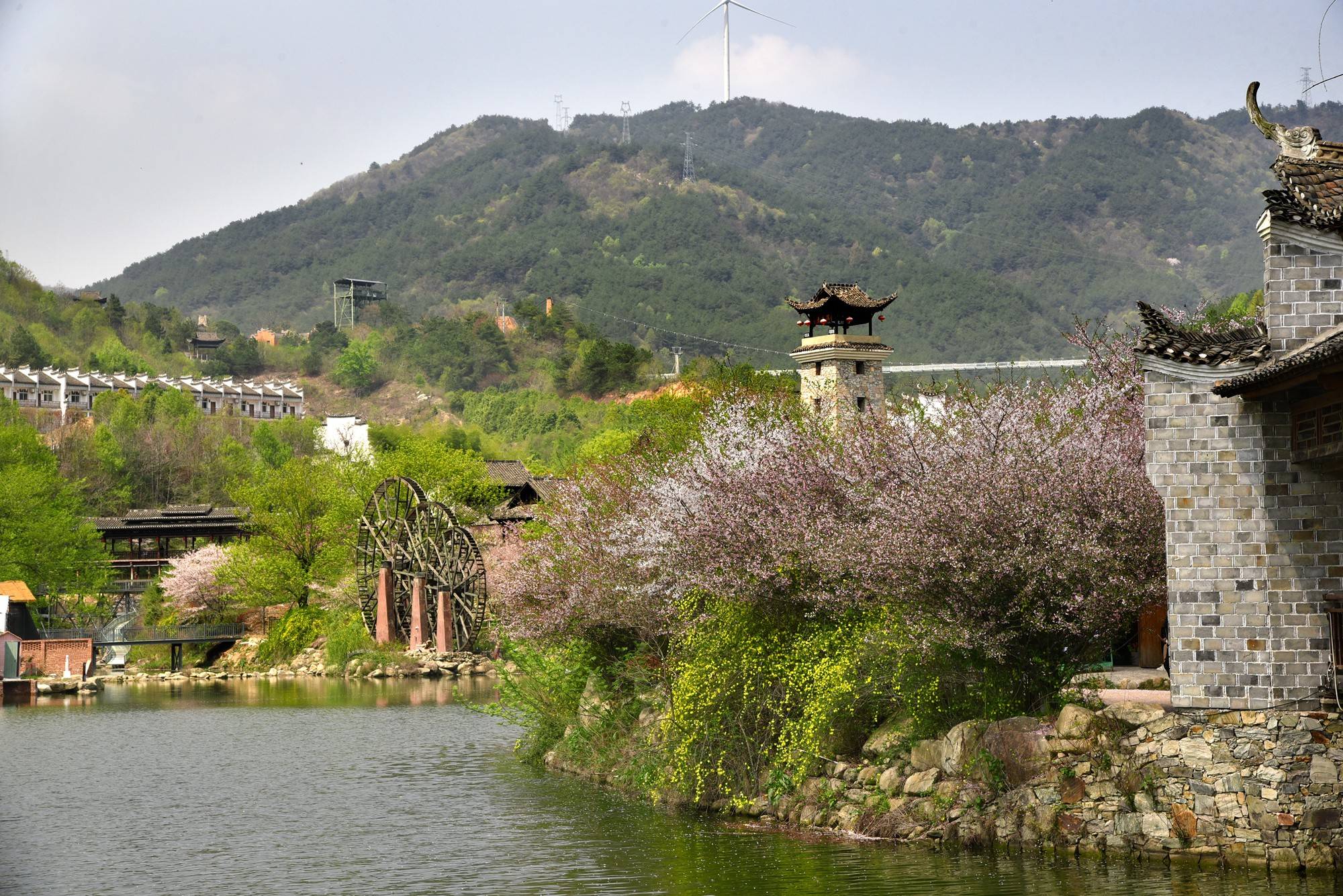 品乡土美食，住精品民宿，花海打卡拍美照，武汉春天这样玩就对了