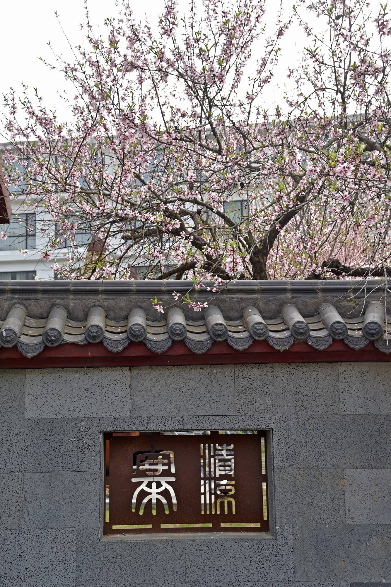 品乡土美食，住精品民宿，花海打卡拍美照，武汉春天这样玩就对了