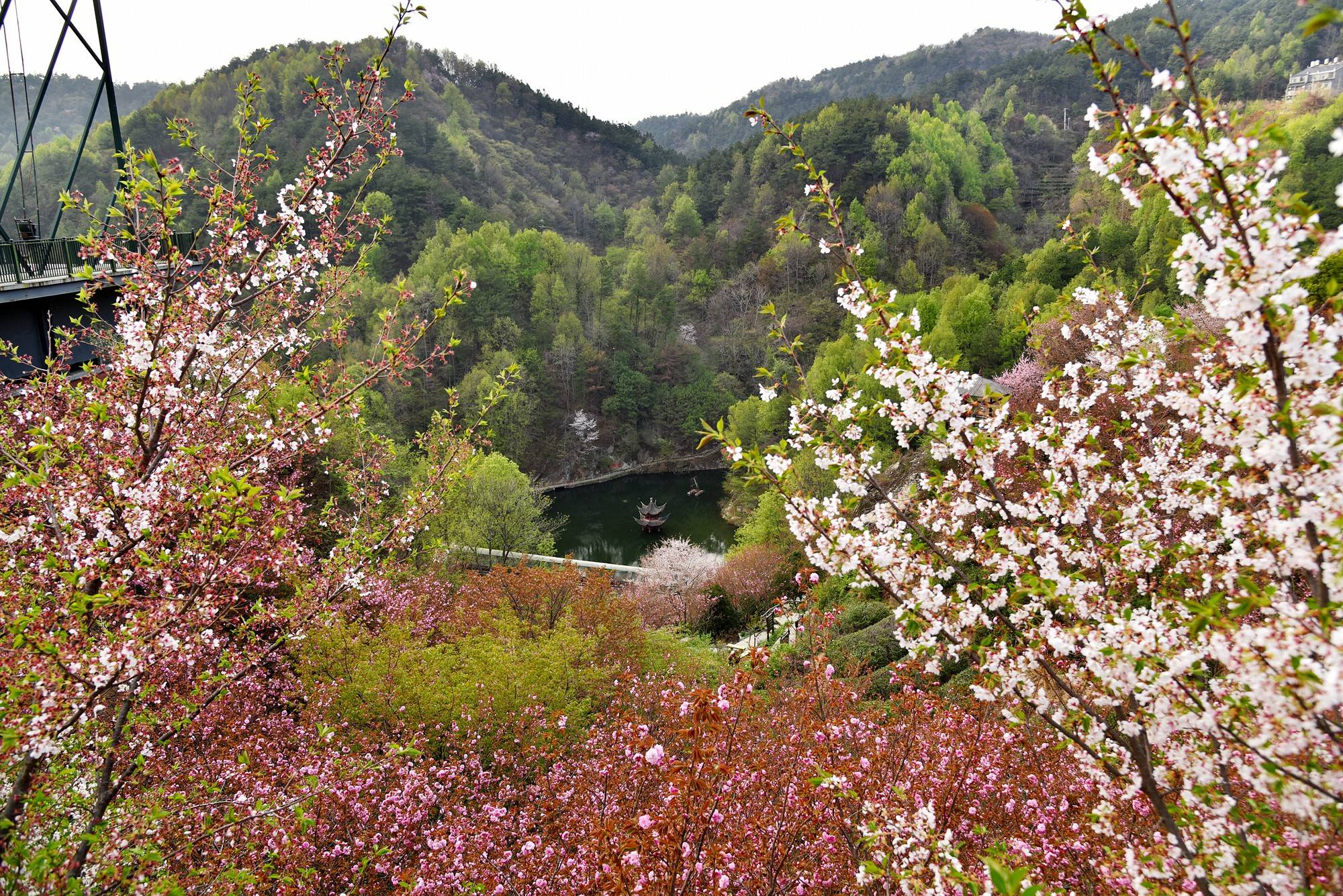 品乡土美食，住精品民宿，花海打卡拍美照，武汉春天这样玩就对了