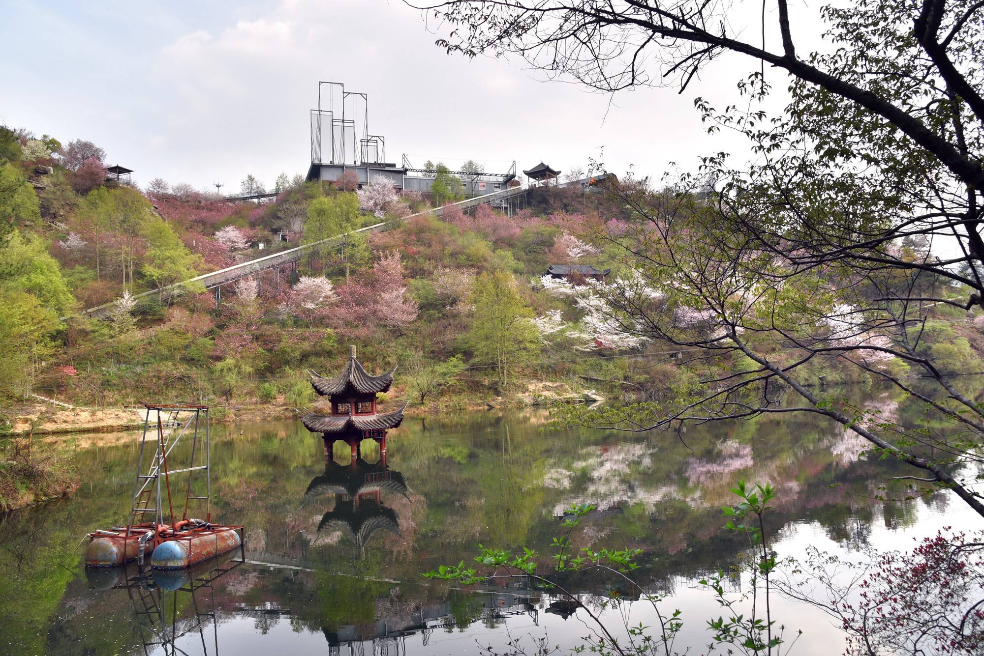 品乡土美食，住精品民宿，花海打卡拍美照，武汉春天这样玩就对了