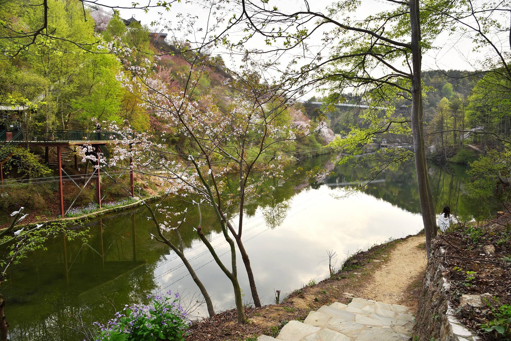 品乡土美食，住精品民宿，花海打卡拍美照，武汉春天这样玩就对了