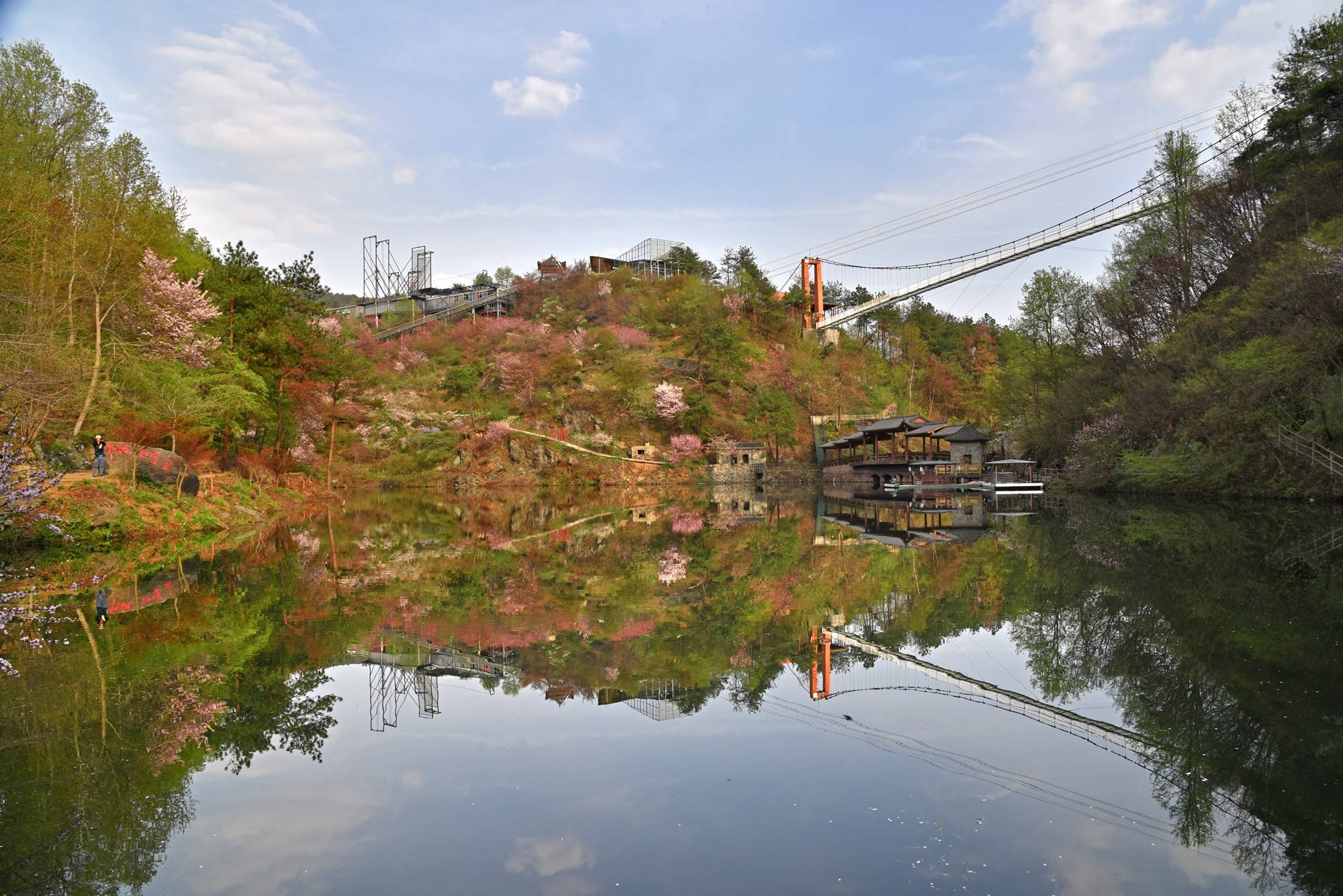 品乡土美食，住精品民宿，花海打卡拍美照，武汉春天这样玩就对了