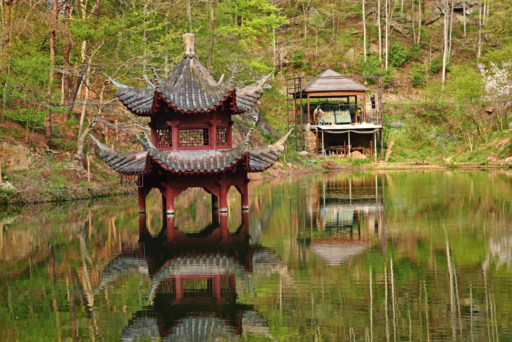 品乡土美食，住精品民宿，花海打卡拍美照，武汉春天这样玩就对了