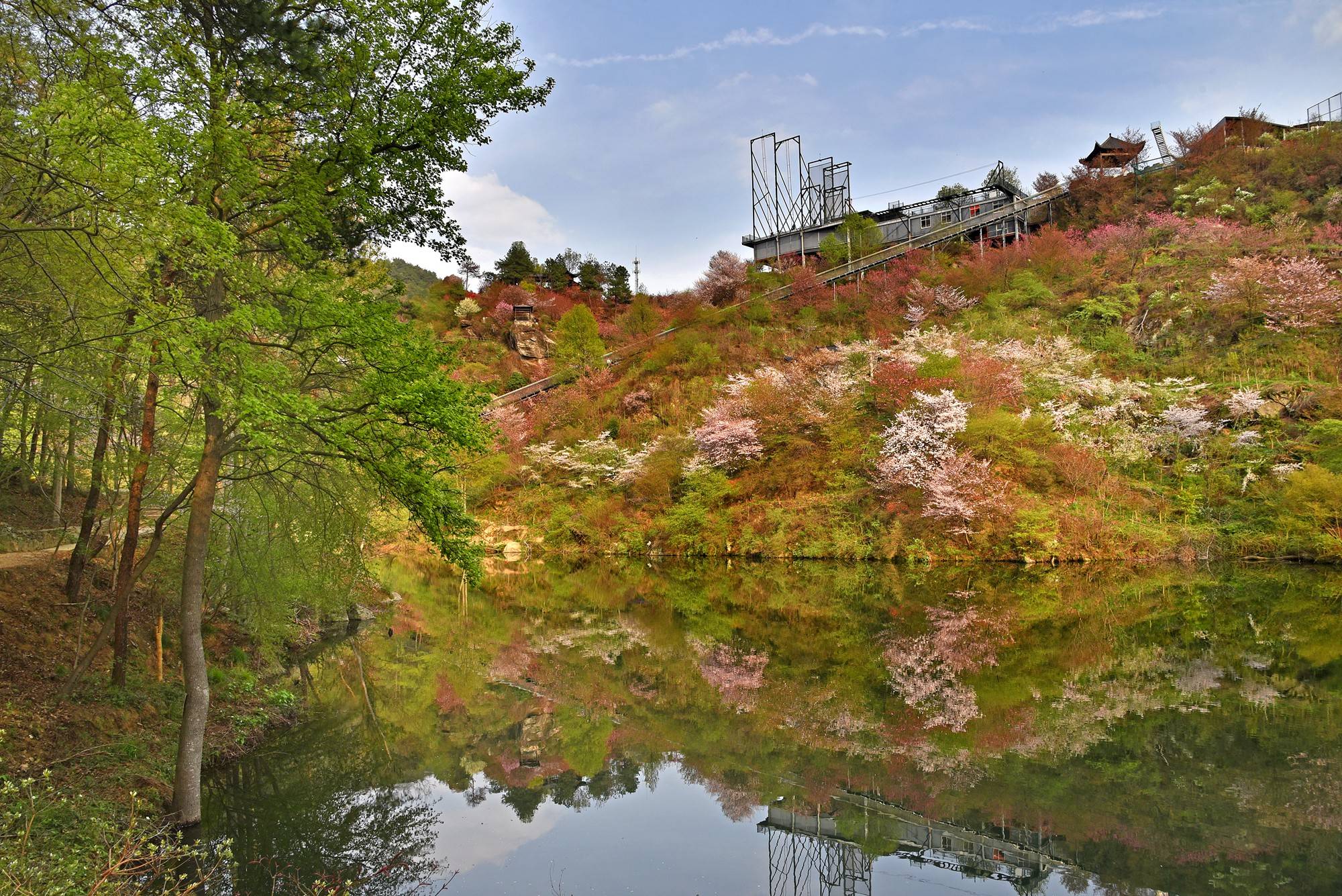品乡土美食，住精品民宿，花海打卡拍美照，武汉春天这样玩就对了