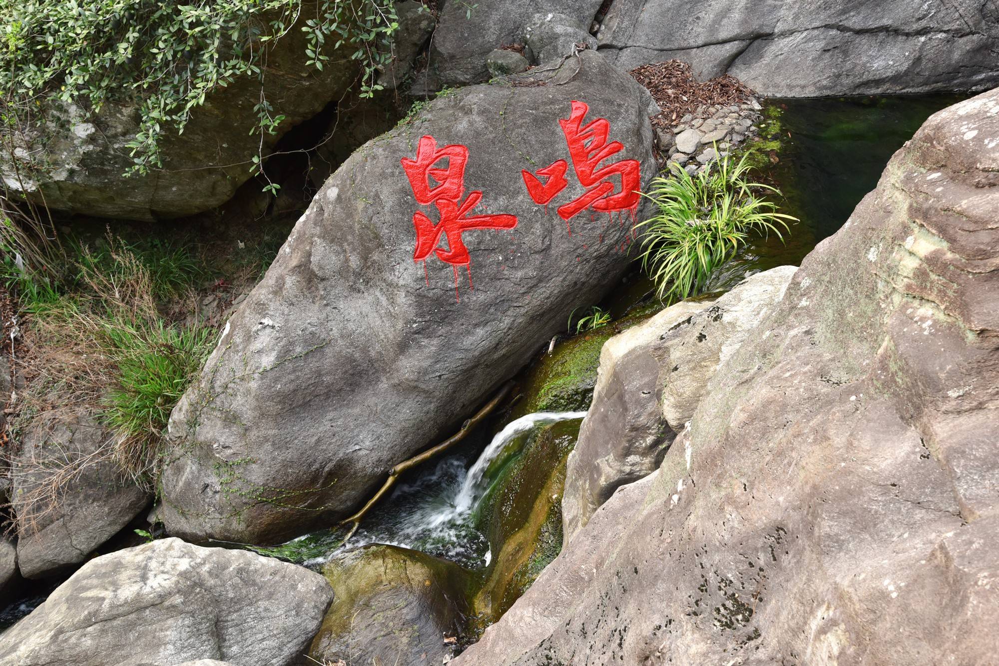品乡土美食，住精品民宿，花海打卡拍美照，武汉春天这样玩就对了