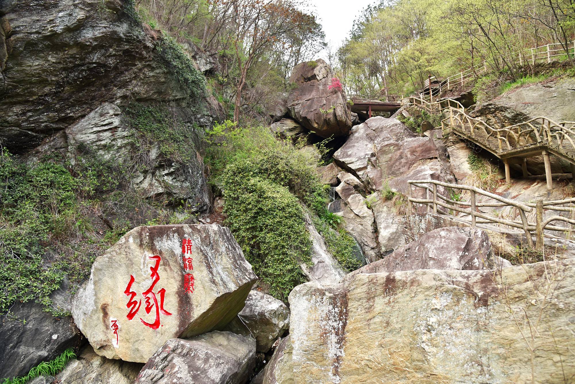 品乡土美食，住精品民宿，花海打卡拍美照，武汉春天这样玩就对了