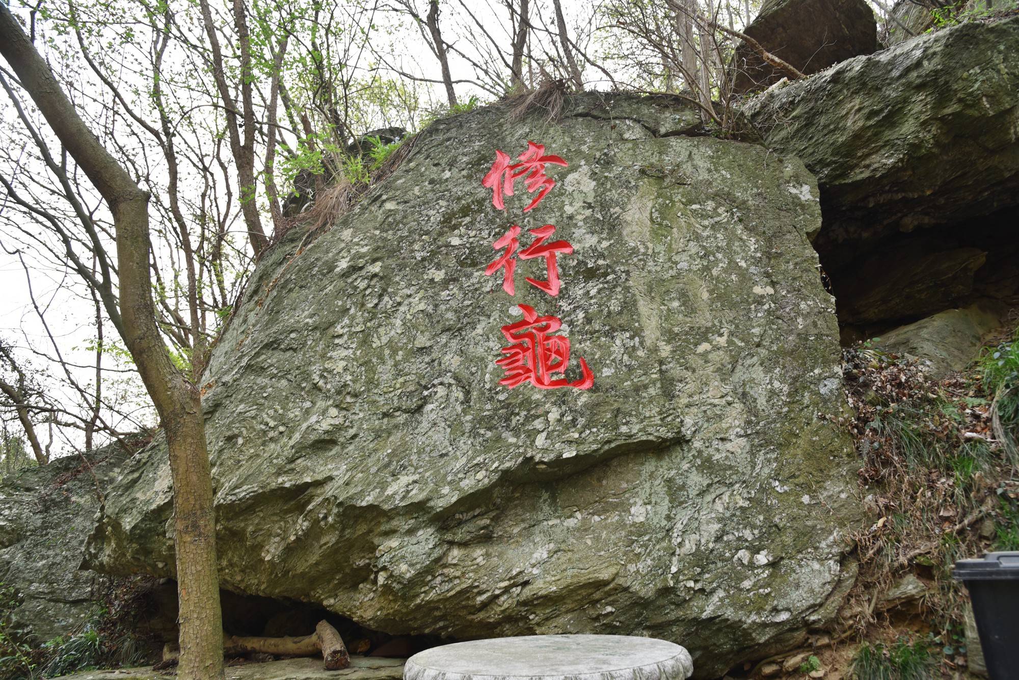 品乡土美食，住精品民宿，花海打卡拍美照，武汉春天这样玩就对了