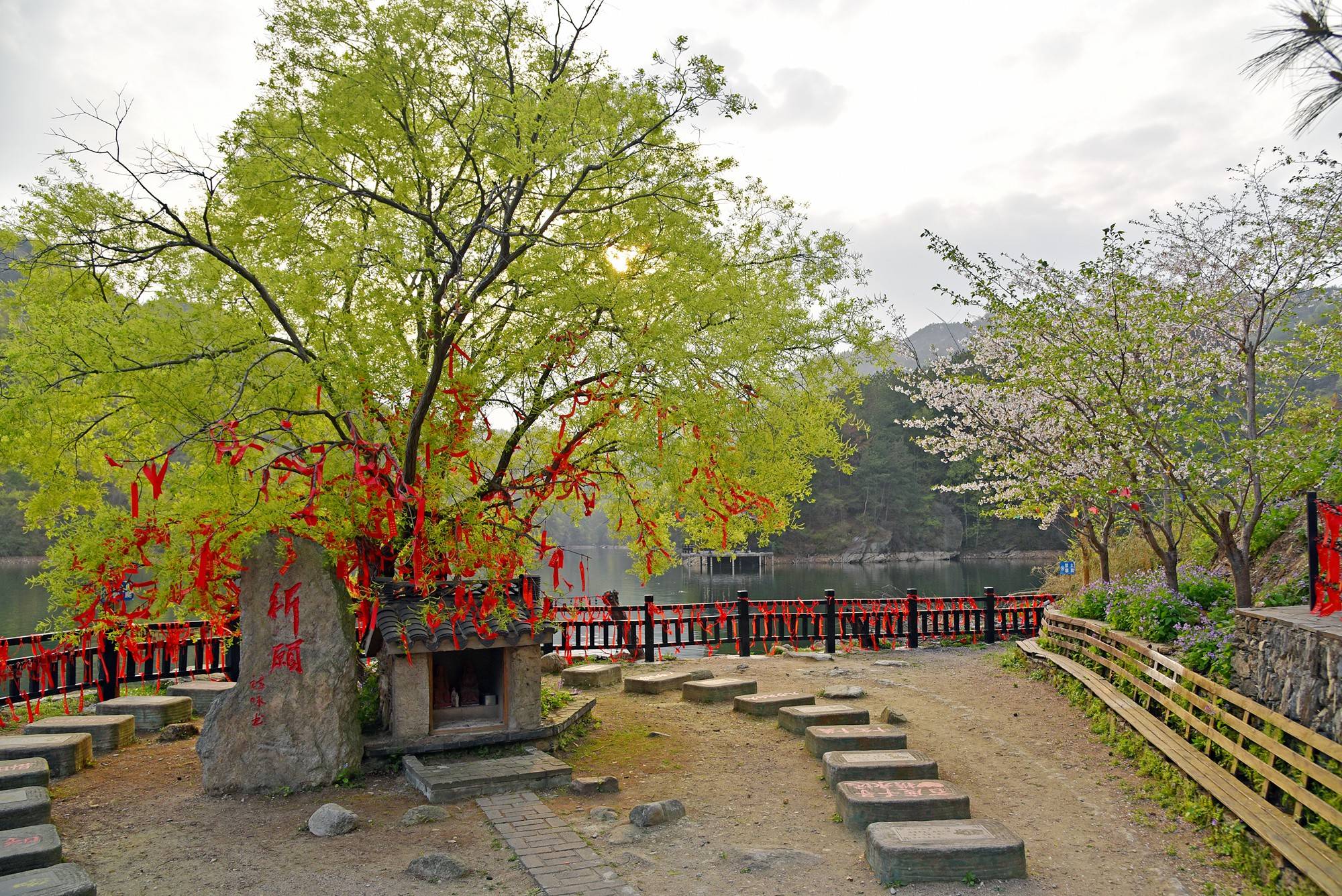 品乡土美食，住精品民宿，花海打卡拍美照，武汉春天这样玩就对了