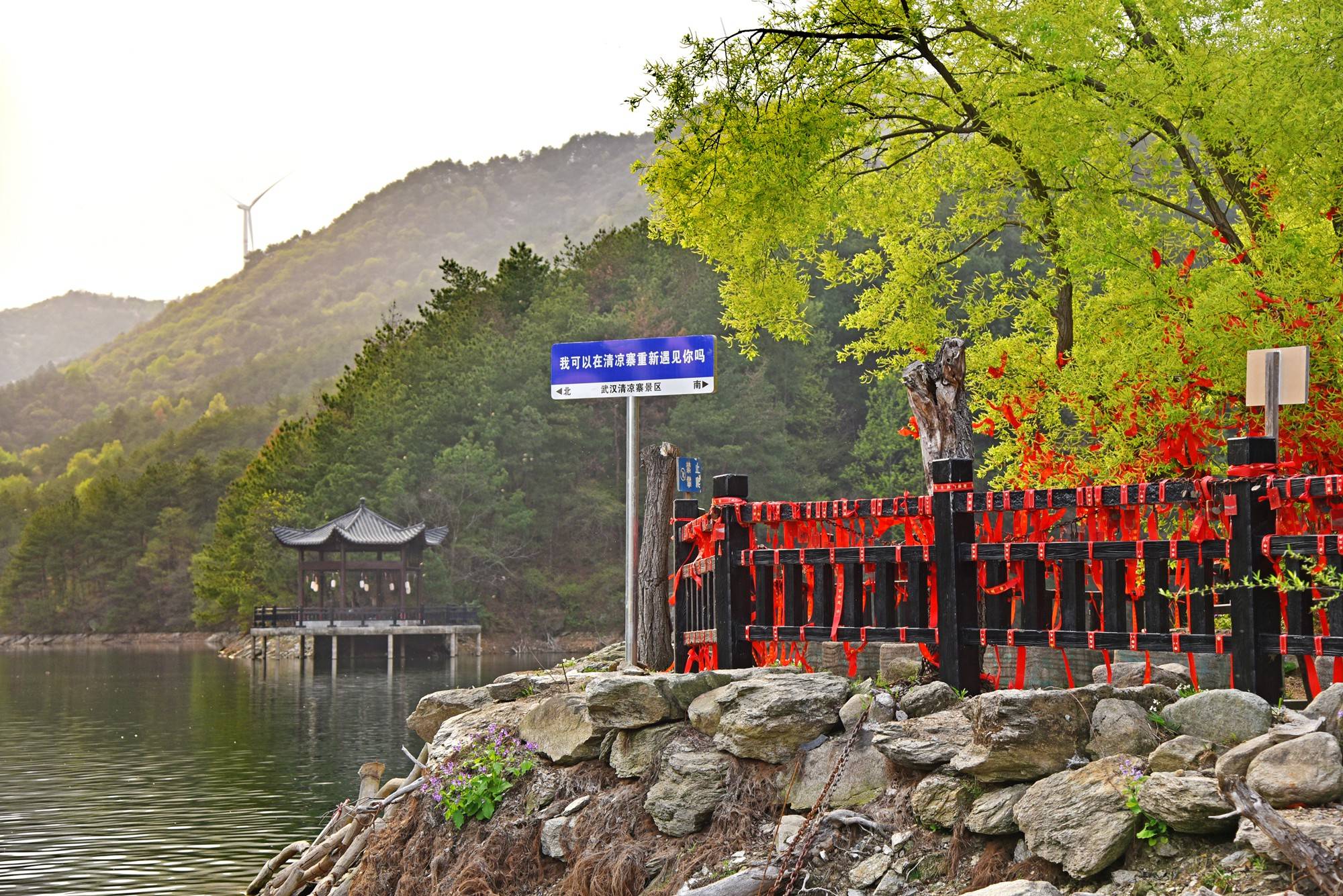 品乡土美食，住精品民宿，花海打卡拍美照，武汉春天这样玩就对了