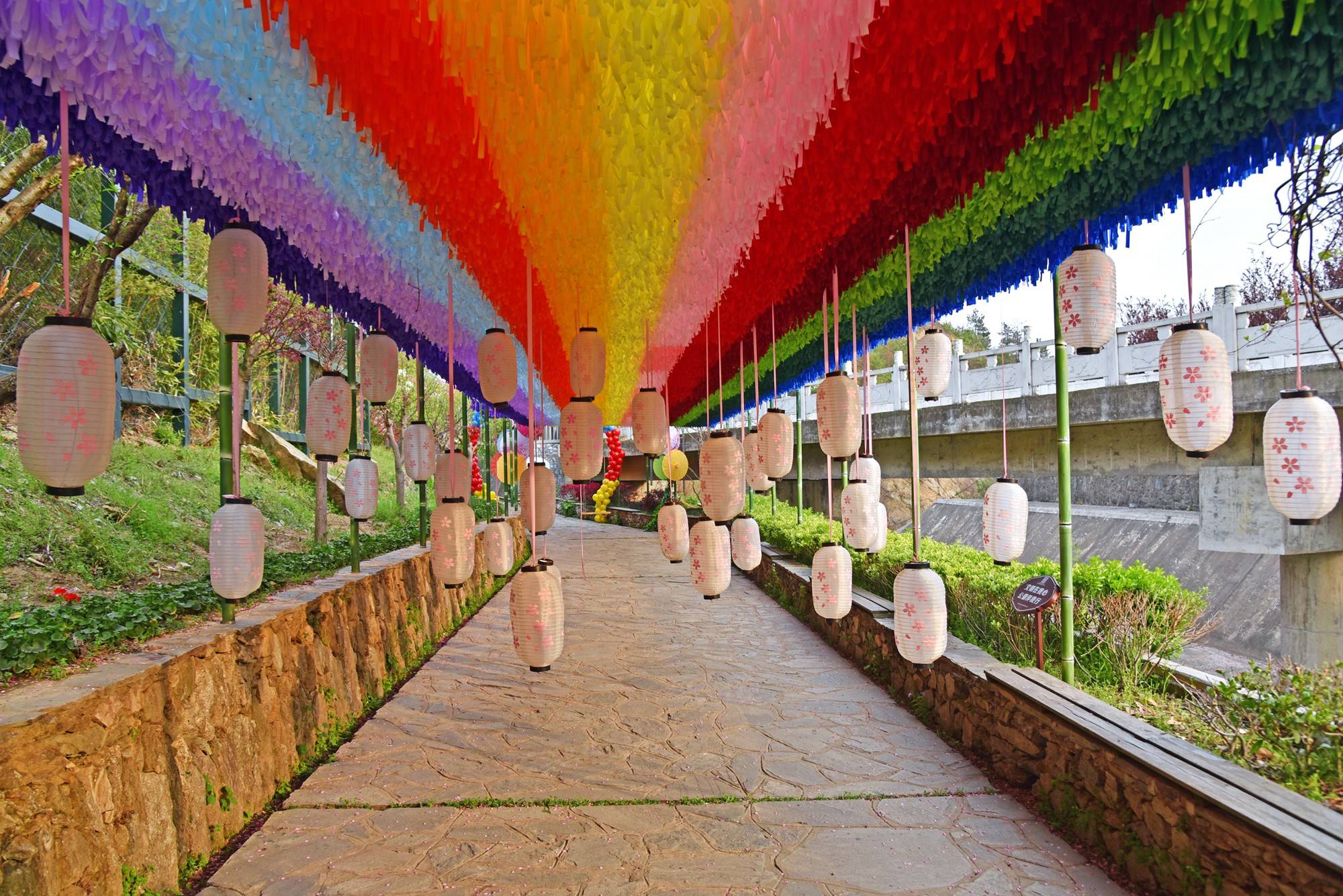 品乡土美食，住精品民宿，花海打卡拍美照，武汉春天这样玩就对了