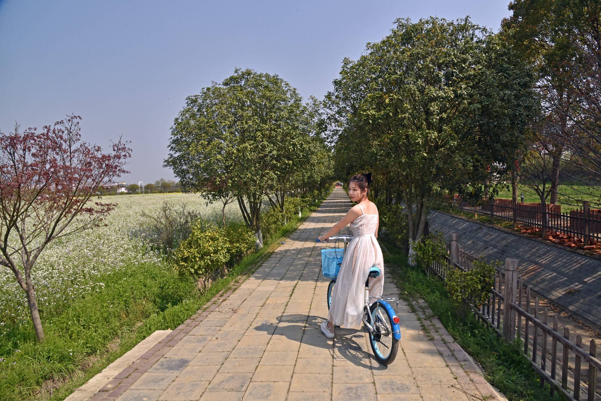 品乡土美食，住精品民宿，花海打卡拍美照，武汉春天这样玩就对了