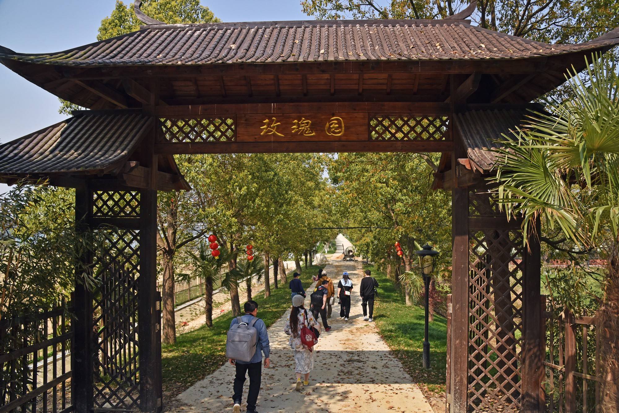 品乡土美食，住精品民宿，花海打卡拍美照，武汉春天这样玩就对了