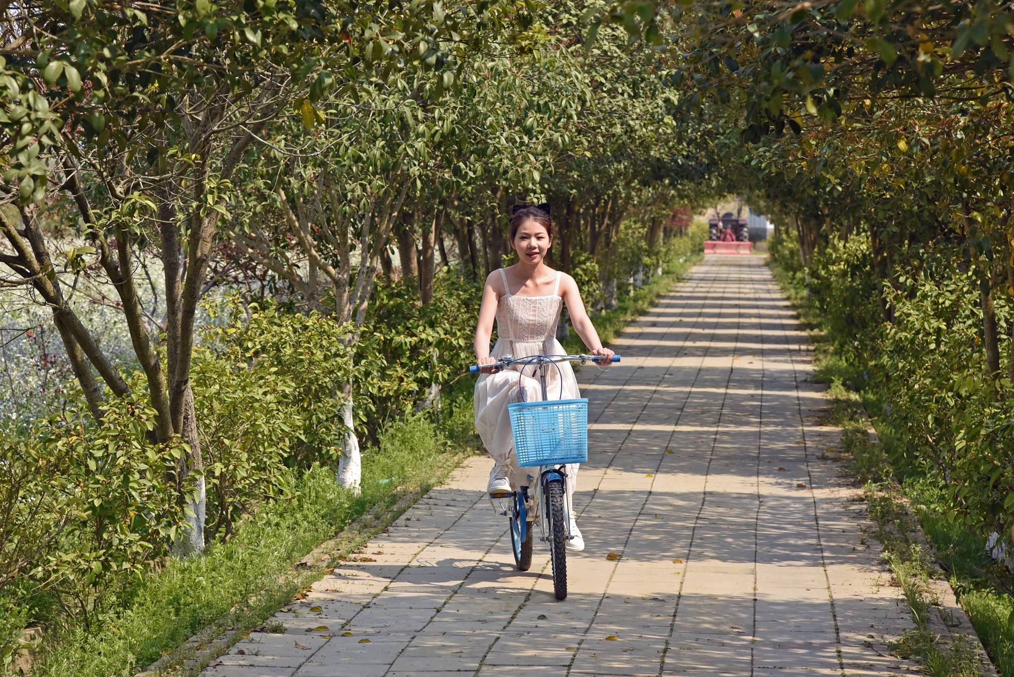 品乡土美食，住精品民宿，花海打卡拍美照，武汉春天这样玩就对了