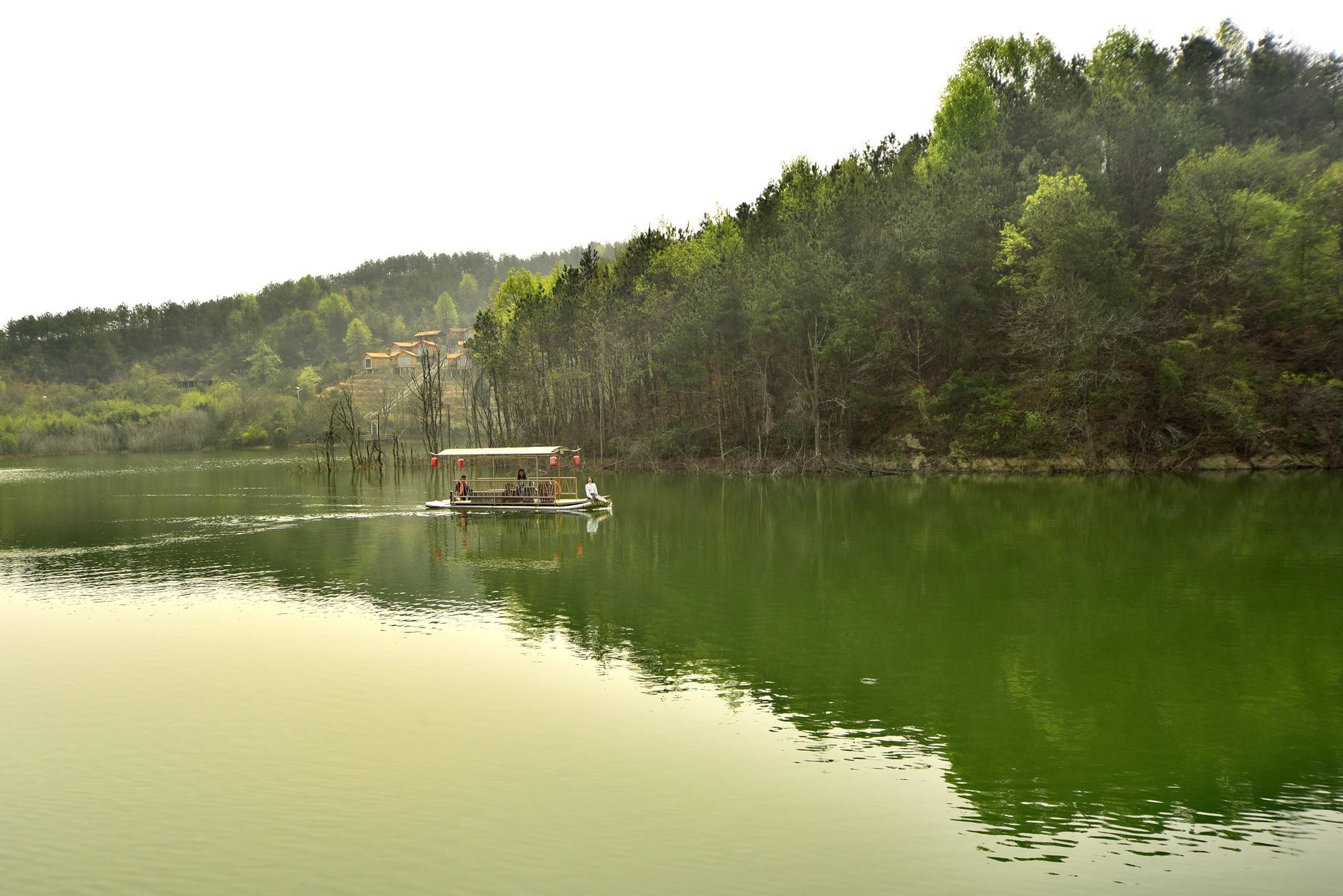 品乡土美食，住精品民宿，花海打卡拍美照，武汉春天这样玩就对了