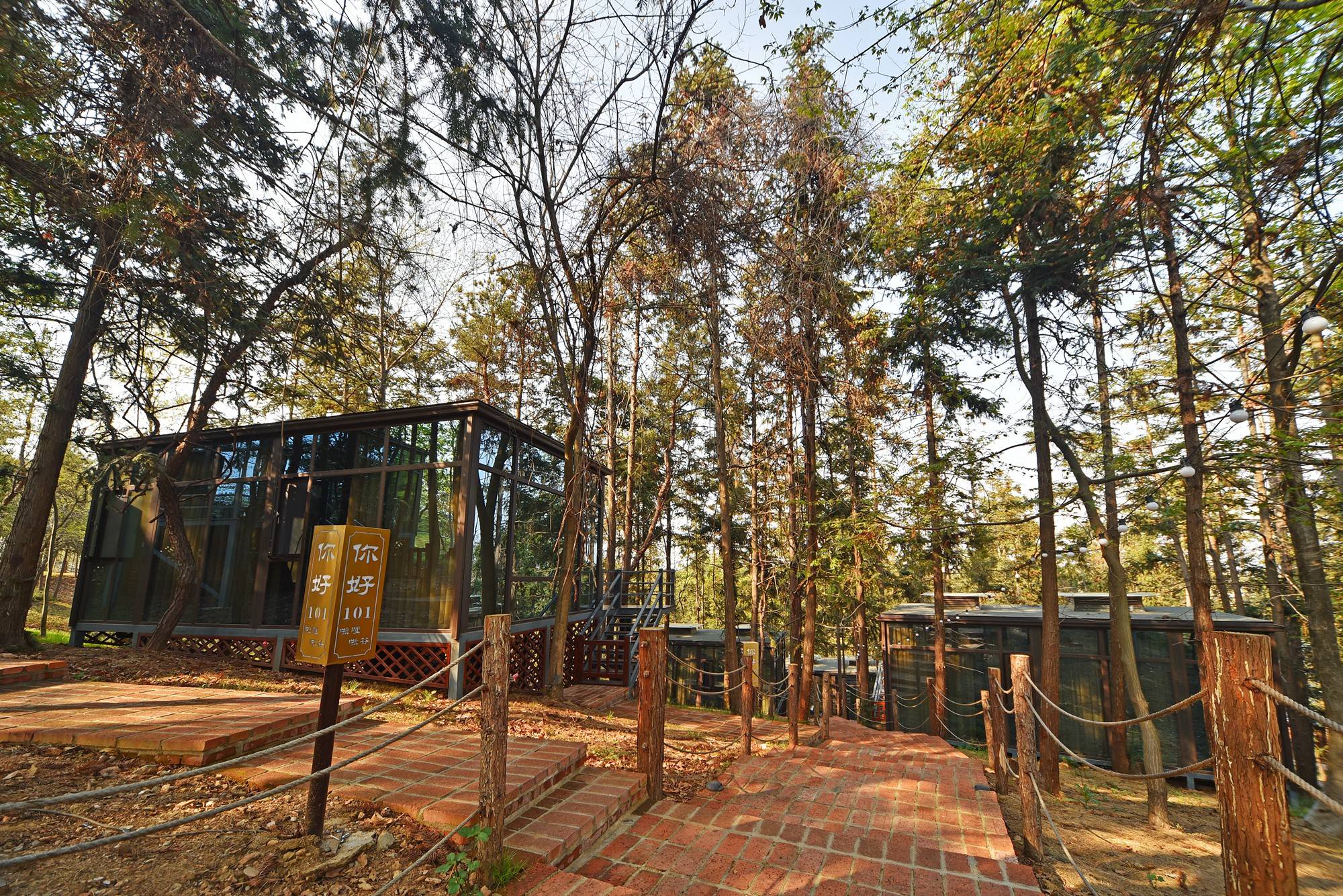 品乡土美食，住精品民宿，花海打卡拍美照，武汉春天这样玩就对了
