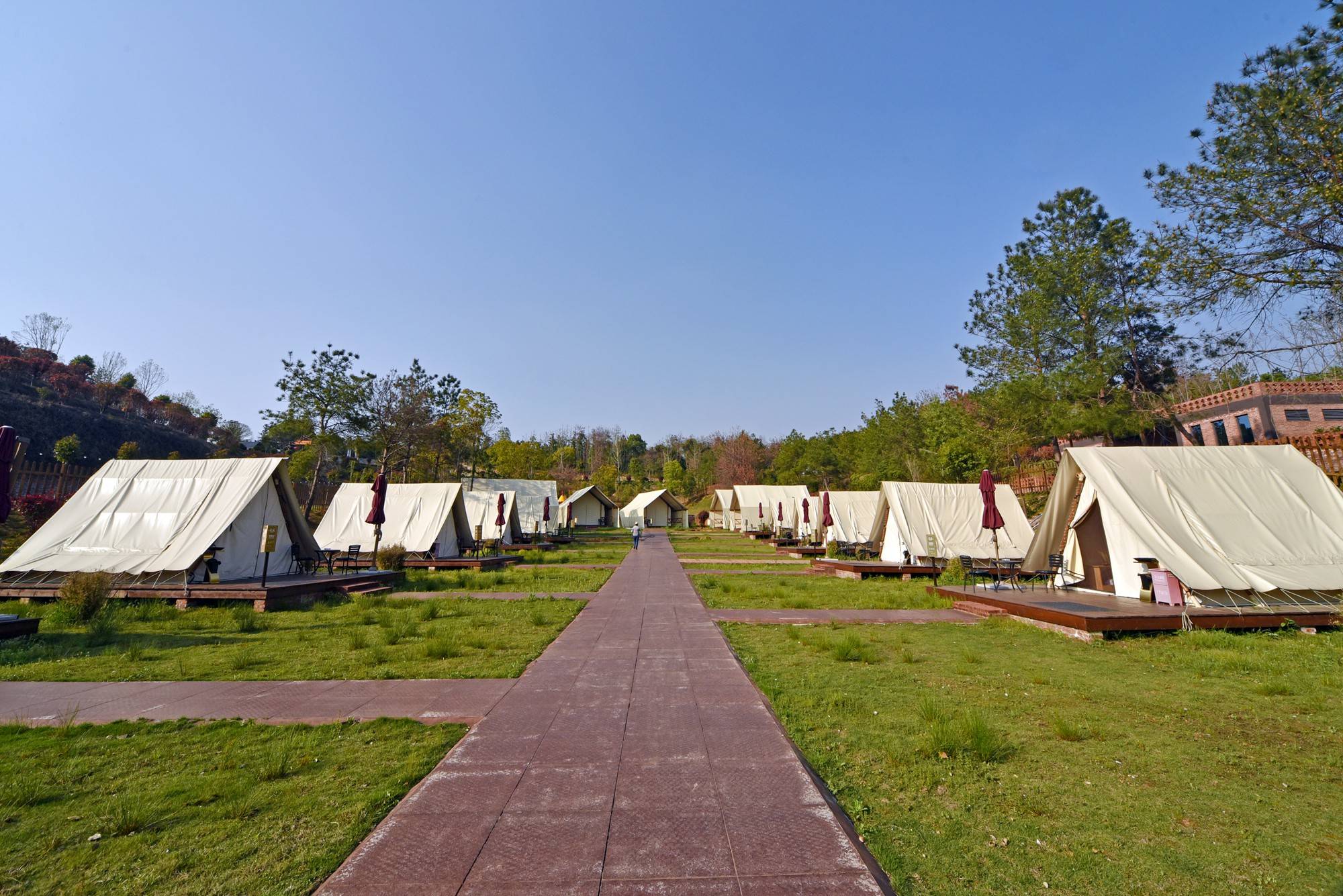 品乡土美食，住精品民宿，花海打卡拍美照，武汉春天这样玩就对了