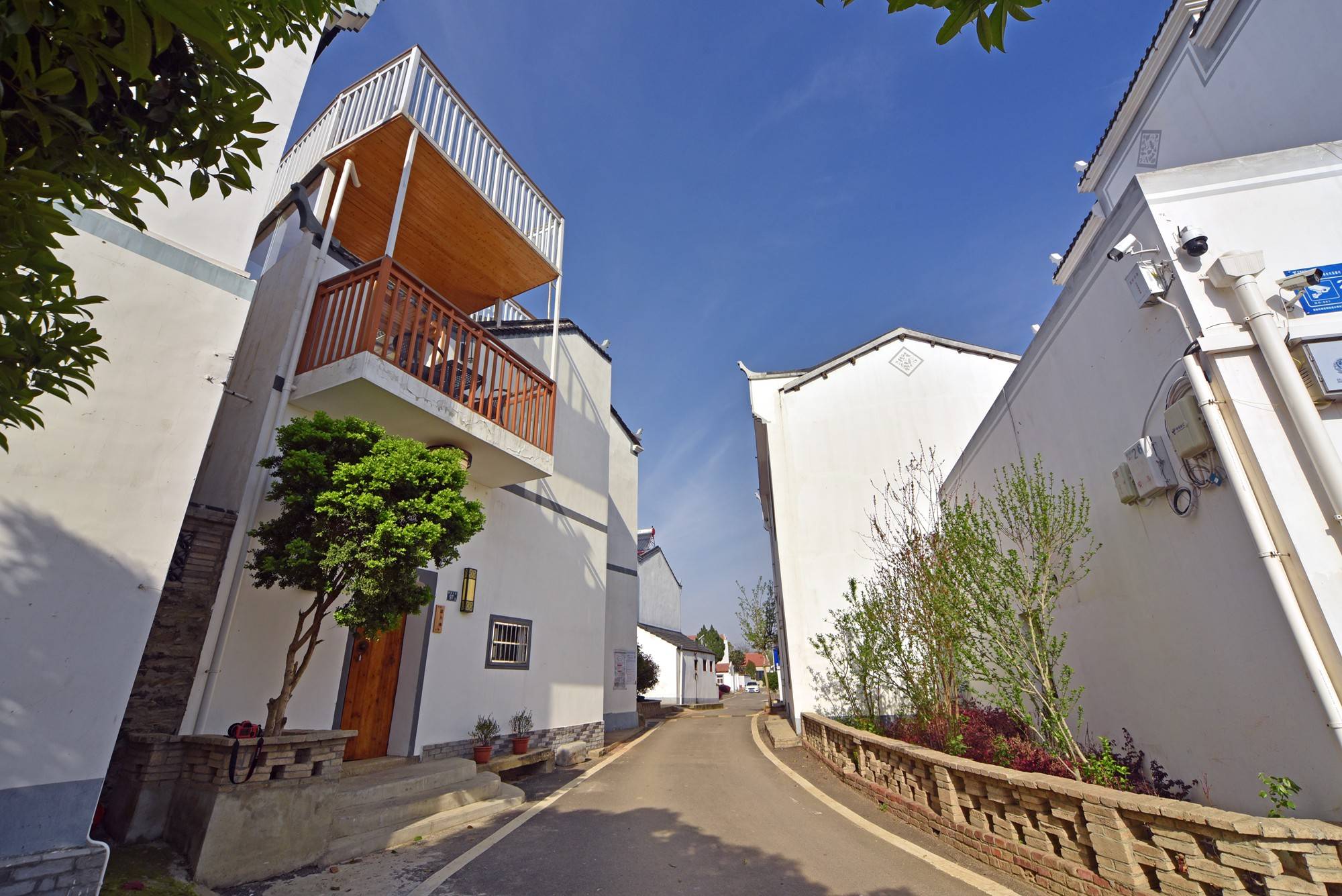 品乡土美食，住精品民宿，花海打卡拍美照，武汉春天这样玩就对了