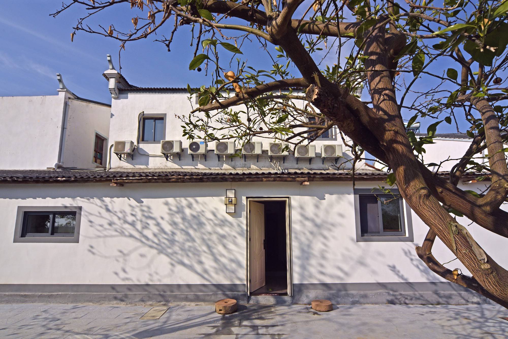 品乡土美食，住精品民宿，花海打卡拍美照，武汉春天这样玩就对了