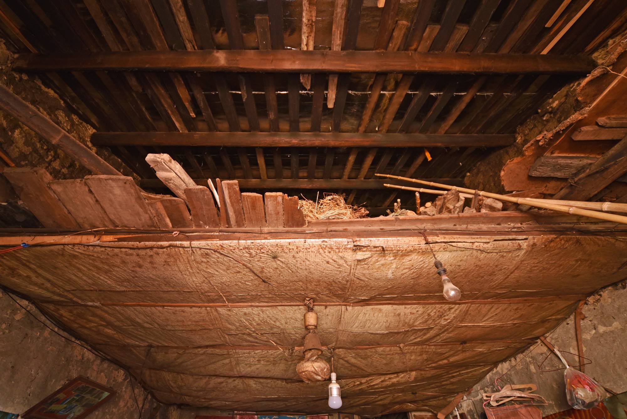 品乡土美食，住精品民宿，花海打卡拍美照，武汉春天这样玩就对了