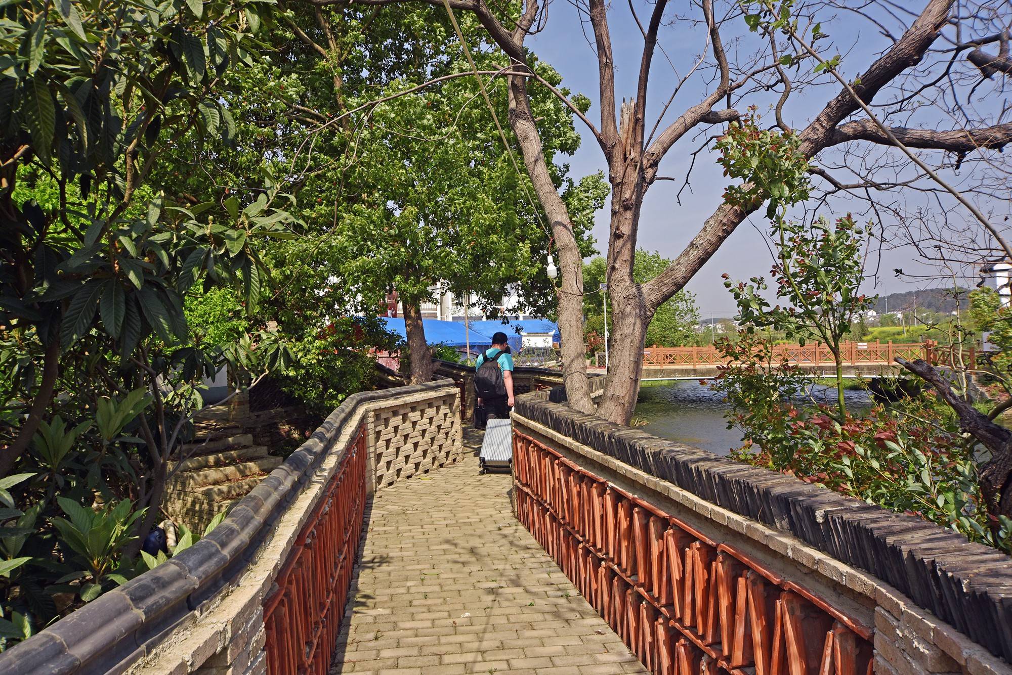品乡土美食，住精品民宿，花海打卡拍美照，武汉春天这样玩就对了
