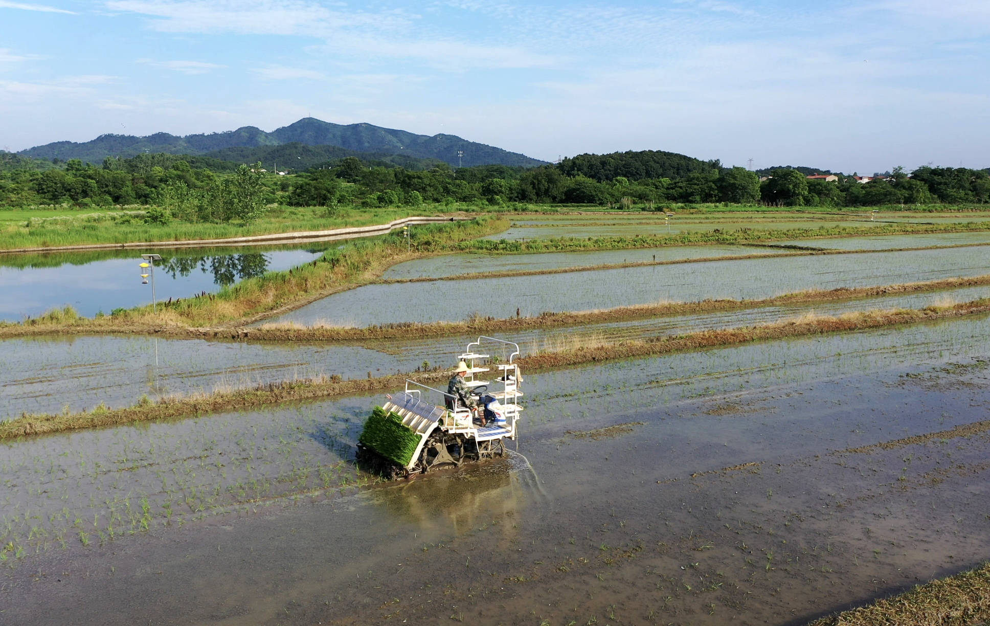 品乡土美食，住精品民宿，花海打卡拍美照，武汉春天这样玩就对了