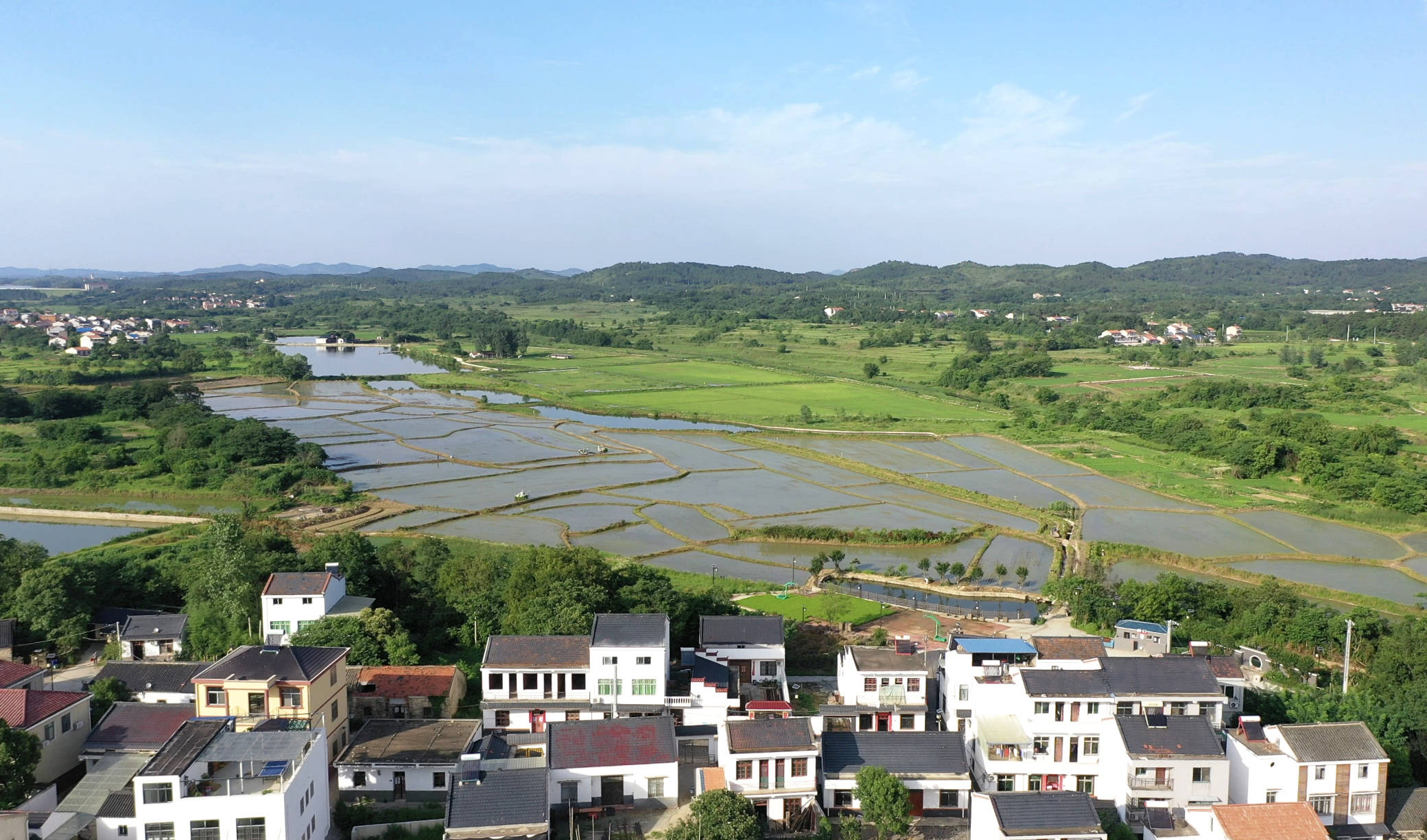 品乡土美食，住精品民宿，花海打卡拍美照，武汉春天这样玩就对了
