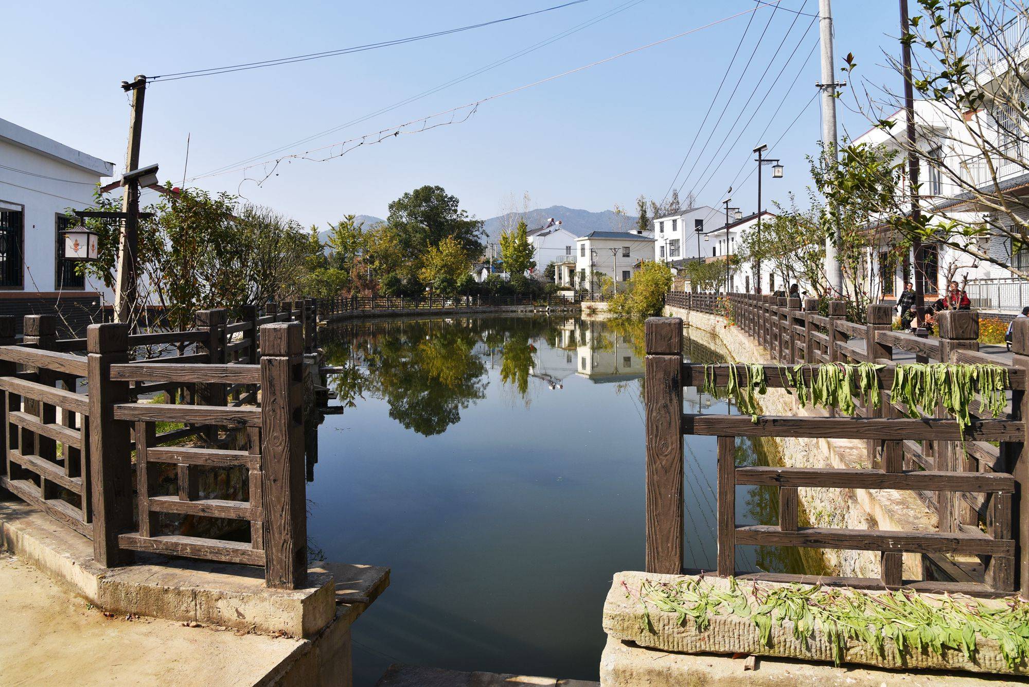 品乡土美食，住精品民宿，花海打卡拍美照，武汉春天这样玩就对了