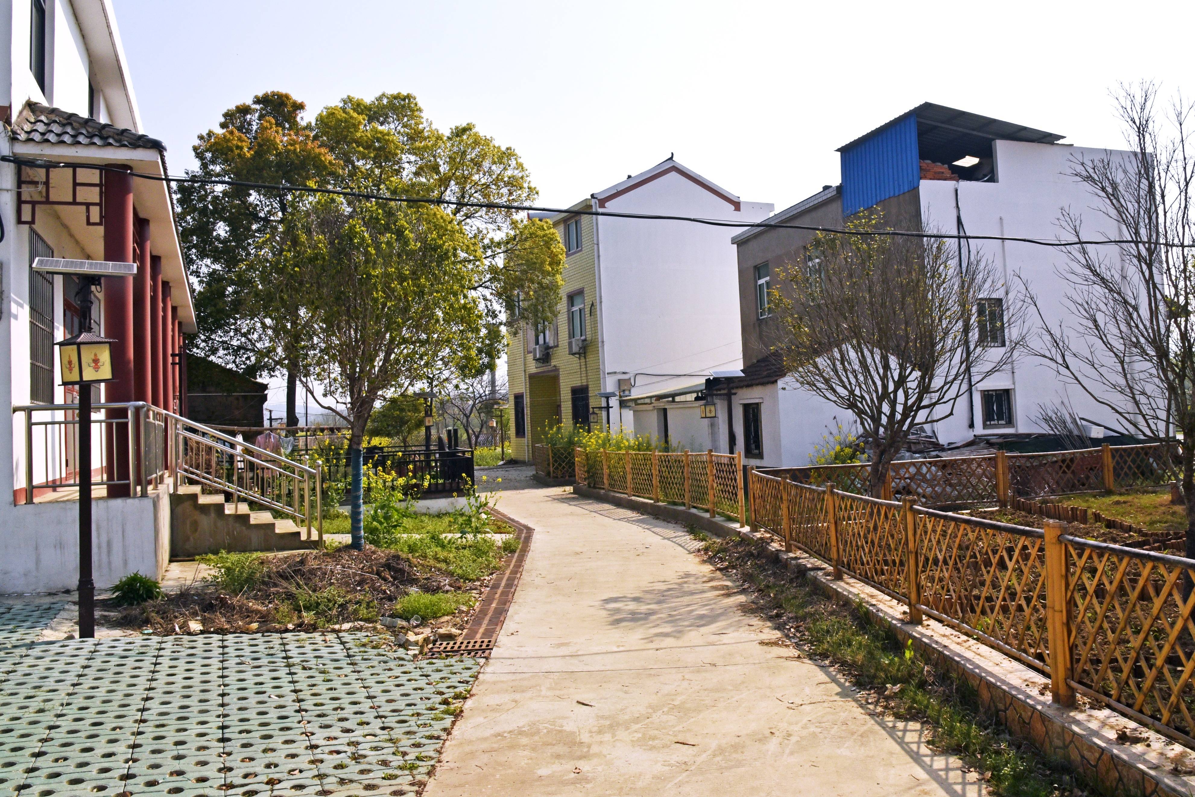 品乡土美食，住精品民宿，花海打卡拍美照，武汉春天这样玩就对了