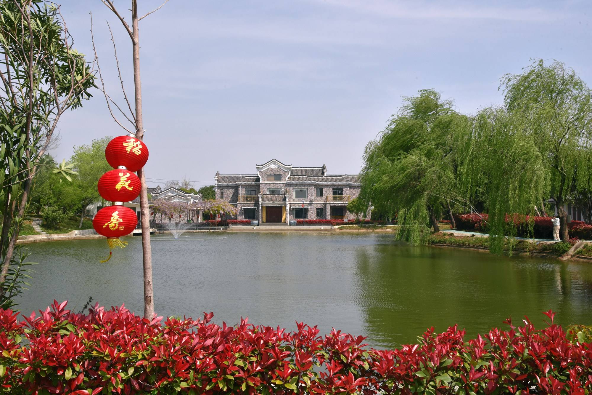 品乡土美食，住精品民宿，花海打卡拍美照，武汉春天这样玩就对了