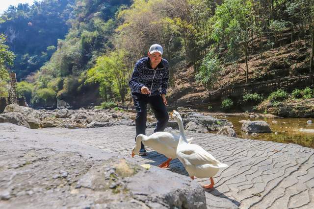 三峡人家风景区，传统的三峡吊脚楼，巴王寨民俗歌舞很有特色