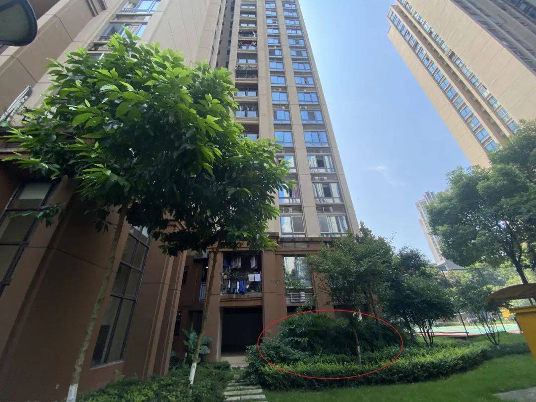 重庆姐弟坠亡案惨剧笼罩下的三个家庭
