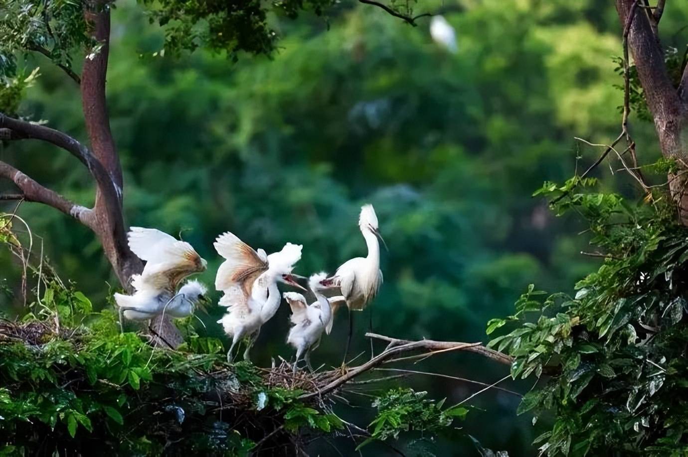 全球极端天气致各地湖泊干旱，河底原来暗藏重重玄机，令人惊叹！