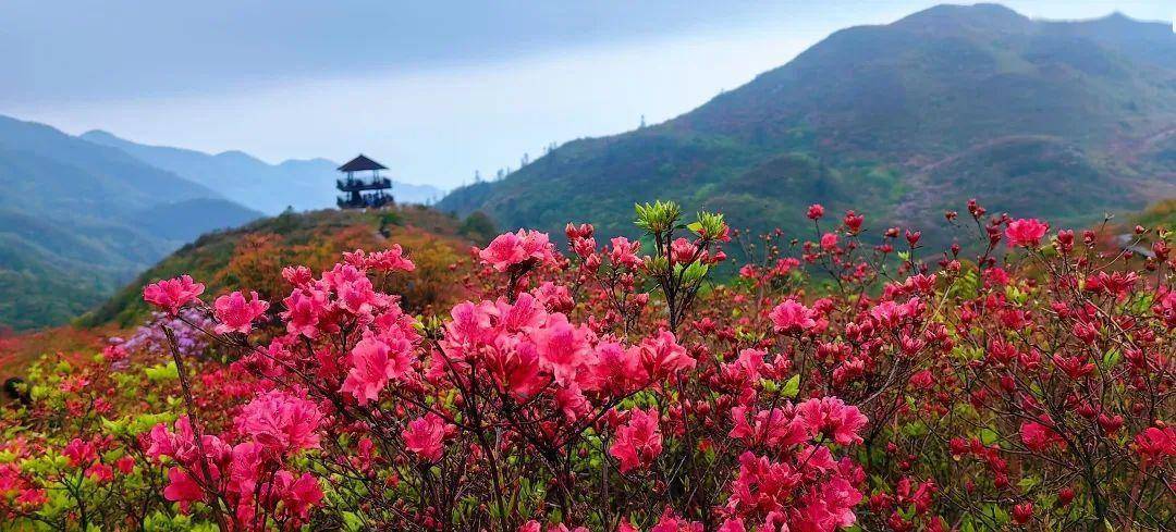 速看！长沙上榜全国十大热门旅游城市！