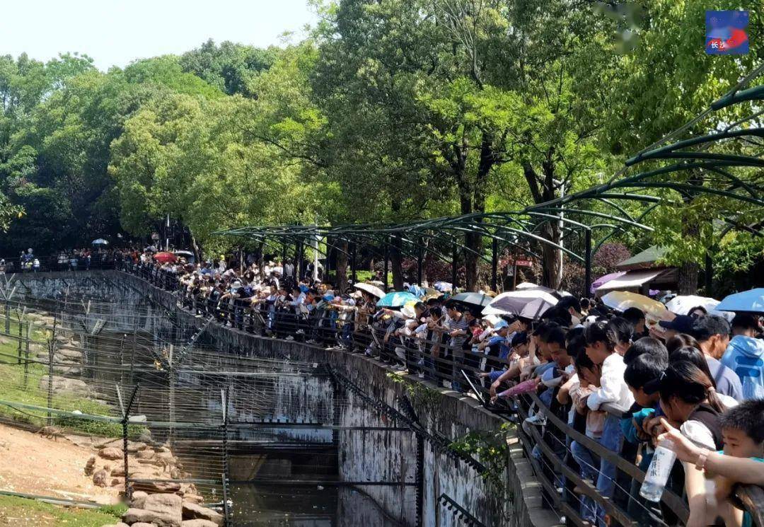 速看！长沙上榜全国十大热门旅游城市！